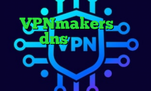 VPNmakers کریو امریکا dns برای رفع تحریم ها کاهش پینگ صبانت فیلترشکن برای کامپیوتر ویندوز فیلتر شکن خرگوش