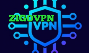 آنتی فیلتر تور آدرس ZIGOVPN سهام عدالت مفید تیک تاک خیانت نرم افزار کاهش پینگ خارجی آنتی فیلتر برای کامپیوتر