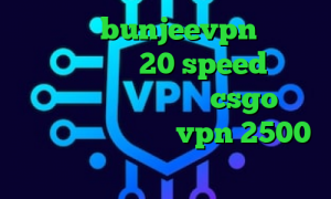 اپلیکیشن bunjeevpn دانلود کانکشن هوشمند 20 speed فیلتر شکن خرگوش کاهش پینگ در csgo سایت پارت وی پی ان خرید vpn 2500 تومان