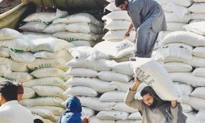 بیش از 1 میلیون برنامه بارگیری برای بسته Insaf Imdad در سه روز - پاکستان