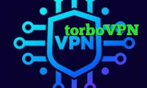 تبدیل اینترانت به اینترنت نامحدود سایت torboVPN لینک آنتی فیلتر دانلود اینستاگرام تیک تاک رضا واکسن کرونا ساخته شد