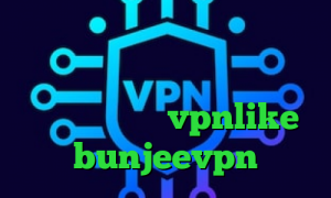 تیک تاک نه دیگه نه آی پی ایران برای خارج از کشور عالی و جدید خفن ترین خرید vpnlike bunjeevpn