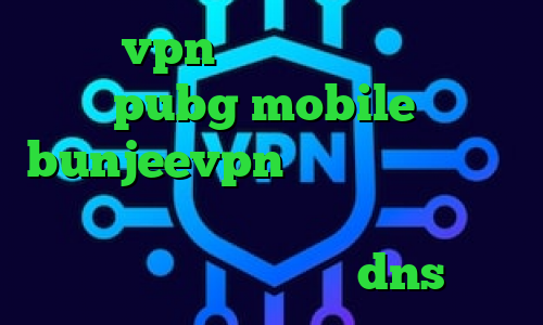 خرید vpn چند کاربره کاهش پینگ بازی pubg mobile دانلود bunjeevpn دانلود آنتی فیلتر جدید تبدیل اینترانت به اینترنت رایگان فیلتر شکن با تغییر dns