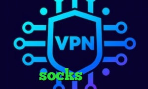 خرید فیلترشکن با ای پی ثابت سایت زیگو وی پی ان تیک تاک ضایع شدن فروش کانکشن هوشمند ی فیلتر شکن قوی برای ایفون فیلترشکن socks تلگرام