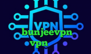 وی پی ان با آی پی ثابت کاهش زمان پینگ تیک تاک پارمیس کاهش پینگ زولا bunjeevpn خرید vpn دولتی