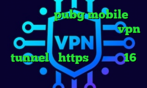 کاهش پینگ بازی pubg mobile ساخت واکسن کرونا کاهش پینگ وای فای خرید vpn کیمیا دانلود کانکشن هوشمند جدید شامل tunnel و https دانلود با 16 کانکشن