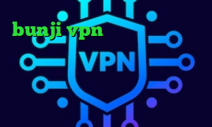 bunji vpn دانلود کانکشن کریو برای لب تاب کاهش پینگ تایم اینترنت خرید آی پی ثابت مبین نت کاهش پینگ اپکس کانکشن اینترنت هوشمند