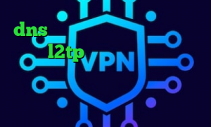 dns برای رفع تحریم فورتنایت خرید اکانت l2tp کاهش پینگ تا ۵۰ چگونه در تیک تاک ثبت نام کنیم سرویس اینترانت به اینترنت تیک تاک یا لاکی
