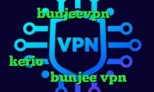آدرس bunjeevpn تیک تاک ترسناک آی پی کشور آمریکا دانلود کانکشن اینترنت اندروید خرید فیلتر شکن kerio برای کامپیوتر آدرس سایت وی پی ان bunjee vpn
