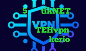 تیک تاک 5 شنبه tikNET سرویس کاهش پینگ های وب دانلود کانکشن نت باران اکانت TEHvpn خرید شارژ فیلترشکن kerio