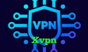 تیک تاک طاها کاهش پینگ لول خرید آی پی ثابت شاتل تیک تاک عسل فیلتر شکن وی پی ن مانستر Xvpn