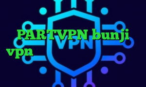 تیک تاک پ اپلیکیشن PARTVPN bunji vpn تغییر آی پی به کشور چین تیک تاک چکه چکه دانلود کانکشن درسا