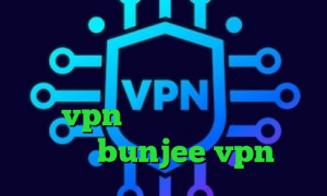 دانلود کانکشن نت باران ساخت کانکشن اینترنت هوشمند کشف واکسن کرونا خرید vpn موبایل کرونا در ایران سایت bunjee vpn
