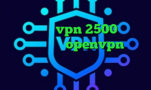 ذانلود کانکشن سیسکو سایت ایران سیف وی پی ان خرید vpn 2500 تومان دانلود کانکشن openvpn برای ویندوز فیلترشکن عالی نی نی سایت فیلتر شکن ویندوزی