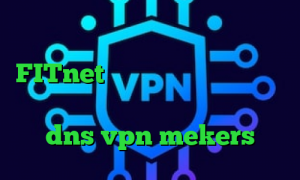وی پی ان از کشور ونزوئلا آدرس FITnet تیک تاک های جدید ی فیلتر شکن قوی برای سامسونگ رفع تحریم با dns vpn mekers