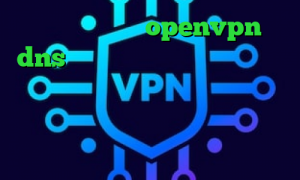 کانکشن رایگان openvpn dns رفع تحریم بازی تغییر آی پی به کشور ایران در اندروید وی پی ان از کشور سنگال درباره کرونا خرید آی پی فنلاند