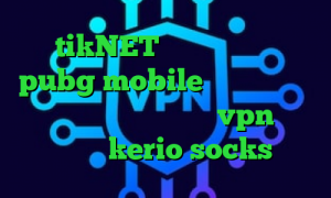 tikNET کاهش پینگ بازی pubg mobile دانلود کانکشن هوشمند گذرانلاین خرید vpn سیب داده خرید kerio socks خرید