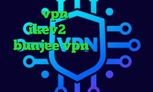 خرید vpn ترکیه خرید اکانت ikev2 یوردیجیتال سایت bunjee vpn دانلود کانکشن برای تبلت وی پی ان از کشور کیپ ورد وی پی ان از کشور گرجستان