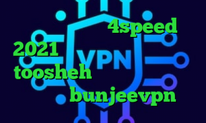 دانلود کانکشن 4speed 2021 سال کاهش پینگ زولا اروپا toosheh ضد فیلتر در فیسبوک دانلود bunjeevpn