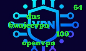 دانلود کانکشن سیسکو برای ویندوز 64 بیتی dns برای رفع تحریم bunjeevpn فیلترشکن واسه تلگرام کاهش پینگ به زیر 100 دانلود کانکشن openvpn برای ویندوز