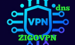 ضد فیلتر شکن کرمانشاهی dns برای رفع تحریم فورتنایت آنتی فیلتر وب فریر آنتی فیلتر تور خرید آی پی پروکسی دانلود ZIGOVPN