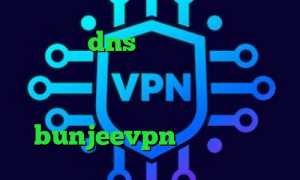 فیلتر شکن dns اندروید تیک تاک نسخه مود دانلود کانکشن تست وی پی ان از کشور جمهوری دومینیکن اپلیکیشن bunjeevpn تیک تاک گروه