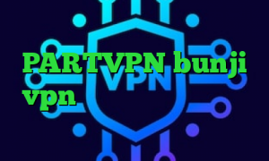 فیلتر شکن ای پی ترکیه دانلود PARTVPN bunji vpn تیک تاک عسل تیک تاک وب وی پی ان از کشور کیپ ورد