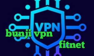 فیلترشکن مخصوص گوشی هواوی آی پی کشور آمریکا فیلترشکن ایرانسل bunji vpn دانلود کانکشن هوشمند کریو اکانت fitnet