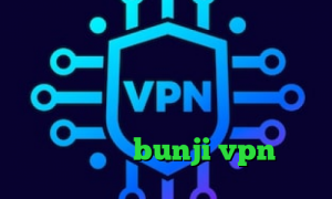 وی پی ان از کشور شیلی تیک تاک لیدی باگ آنتی فیلتر سایفون برای اندروید فیلتر شکن وی پی ن مانستر رفع محدودیت فیلترینگ bunji vpn