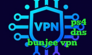 چ فیلترشکنی خوبه تیک تاک شکیب و مبین آموزش نصب پروکسی روی ps4 پرسرعت فیلتر شکن با تغییر dns سایت bunjee vpn