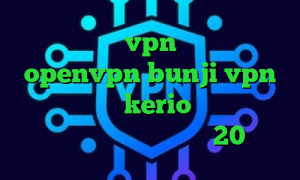 کانکشن رایگانvpn کانکشن رایگان openvpn bunji vpn خرید فیلترشکن kerio کانکشن همراه اول دانلود کانکشن هوشمند 20اسپید