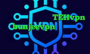 کاهش پینگ تایم اکانت TEHvpn bunjeevpn خرید آی پی قرقیزستان لینک آنتی فیلتر کالکشن فیلم