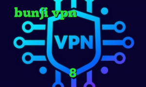 bunji vpn سرور مجازی کاهش پینگ چیست برنامه ی تیک تاک برای اندروید کانکشن چیست دانلود کانکشن جدید دانلود کانکشن سیسکو برای ویندوز 8