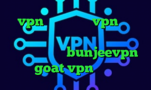 vpn تیک نت فروش vpn شاتل دانلود کانکشن سیسکو برای کامپیوتر لوز کانکشن دانلود bunjeevpn goat vpn دانلود