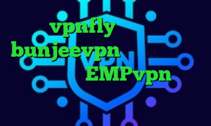 vpnfly اپلیکیشن bunjeevpn فیلتر شکن فیلم غیرمجاز آدرس EMPvpn اخبار کرونا کانکشن شباب