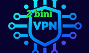 تیک تاک 2 bini فیلتر شکن با آی پی ثابت نتورک کانکشن پینگ گیمینگ ایرانسل آنتی فیلتر ویندوز فیلترشکن خوب برای ایرانسل
