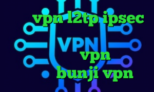خرید vpn l2tp ipsec فیلتر شکن با تغییر ای پی تیک تاک نیکا جدید خرید vpn ریو تیک تاک طنز bunji vpn