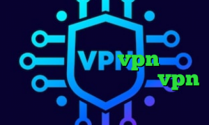 خرید فیلترشکن با ای پی ثابت خرید آی پی هلند دانلود کانکشن انی کانکت اپلیکیشن vpn برای اندروید بهترین اپلیکیشن vpn تیک تاک صدای ببر