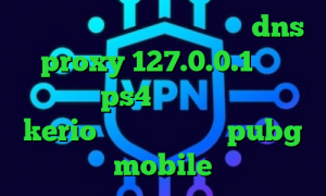 خفن ترین تیک تاک غیرتی جدید dns proxy 127.0.0.1 فروش پروکسی ps4 خرید آنلاین کریو kerio کاهش پینگ بازی pubg mobile
