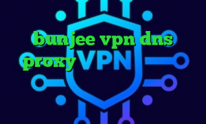 دانلود کانکشن تونل پلاس سایت bunjee vpn dns proxy چیست وی پی ان از کشور مغولستان کانکشن هوشمند سرویس ویژه تیک تاک تا همیشه