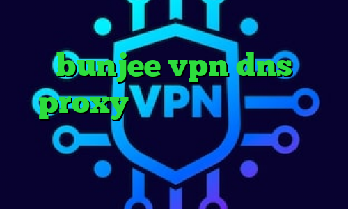 دانلود کانکشن تونل پلاس سایت bunjee vpn dns proxy چیست وی پی ان از کشور مغولستان کانکشن هوشمند سرویس ویژه تیک تاک تا همیشه