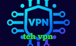 فیلتر شکن قابل نصب واکسن کرونا در چین پروکسی برای تلگرام کانکشن شبکه کانکشن هوشمند چیست سایت teh vpn
