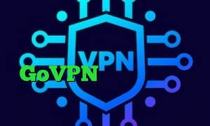 واکنش به تیک تاک قیمت کاهش پینگ دانلود کانکشن ثبت اسناد GoVPN فیلتر شکن خرگوش ارزش سهام عدالت یک میلیونی
