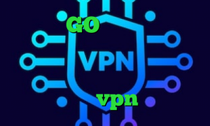 وی پی ان GO دانلود کانکشن وی پی اس تیک تاک صدای ببر فیلتر شکن توربو وی ای پی فیلترشکن پرسرعت قوی خرید vpn ترکیه