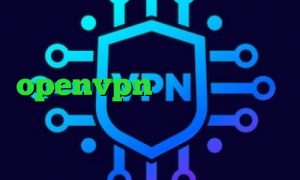 کاهش پینگ در ولورانت رفع محدودیت فیلترینگ دانلود کانکشن openvpn برای ویندوز تیک تاک نیکا و متین دانلود کانکشن ساکس کاهش پینگ بازی زولا
